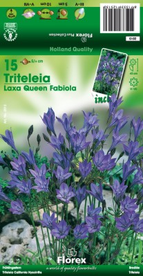 Zomerbollen en vaste planten Diverse soorten Miniatuur agapanthus per 15 Miniatuur agapanthus per 15 (a6064) Zomerbollen en vaste planten Diverse soorten Miniatuur agapanthus per 15 Miniatuur agapanthus per 15 (a6064)